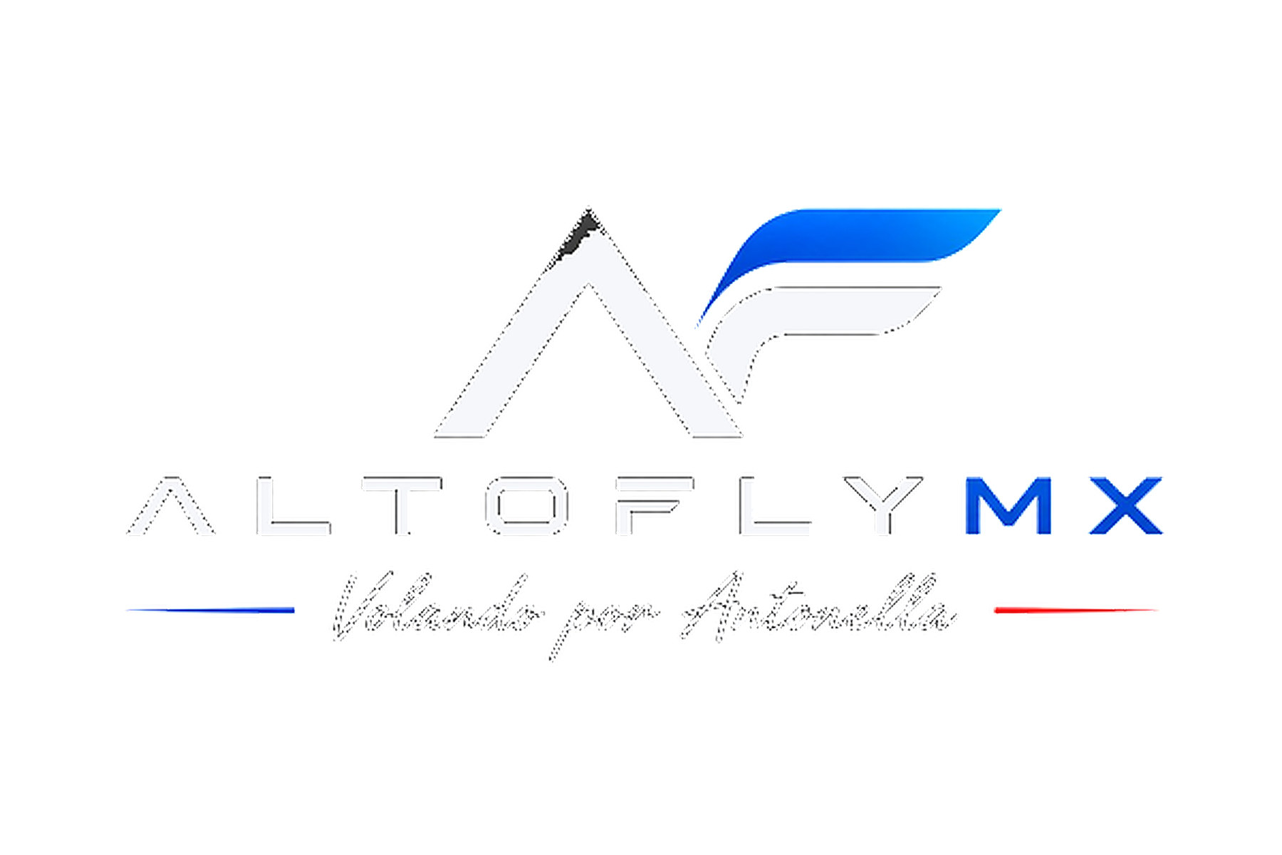 AltoFly Technology HUB